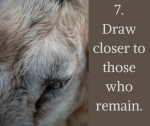 7. Draw closer to those who remain